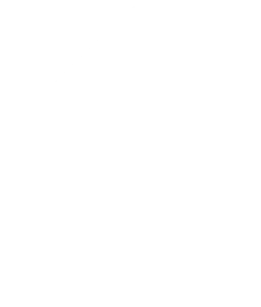 Simplified line drawing of a house with a triangular roof, central door, and window. A small tree and shrub are on either side.
